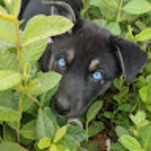 Meet your Posher, Bryan